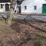 9c9add33-9d3e-48a9-bafb-241ffb15c7bf